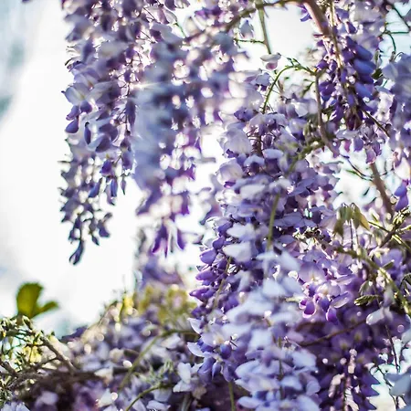 Panzió La Giardini Naxos
