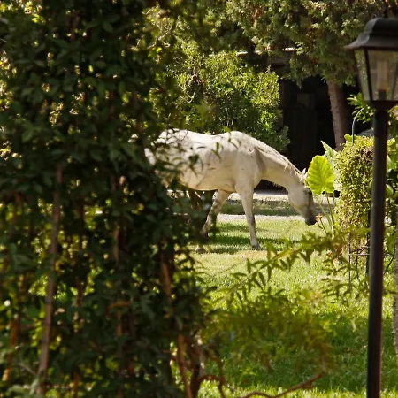 Bed & Breakfast La 4*