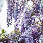 Bed & Breakfast La Giardini Naxos