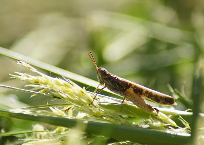 Bed & Breakfast La 4*