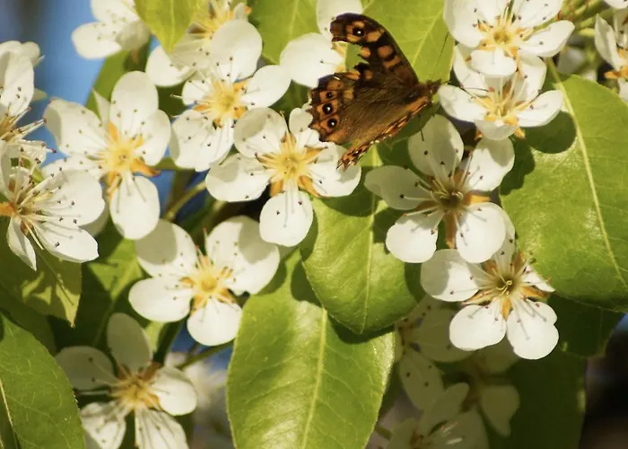 La Bed & Breakfast Giardini Naxos