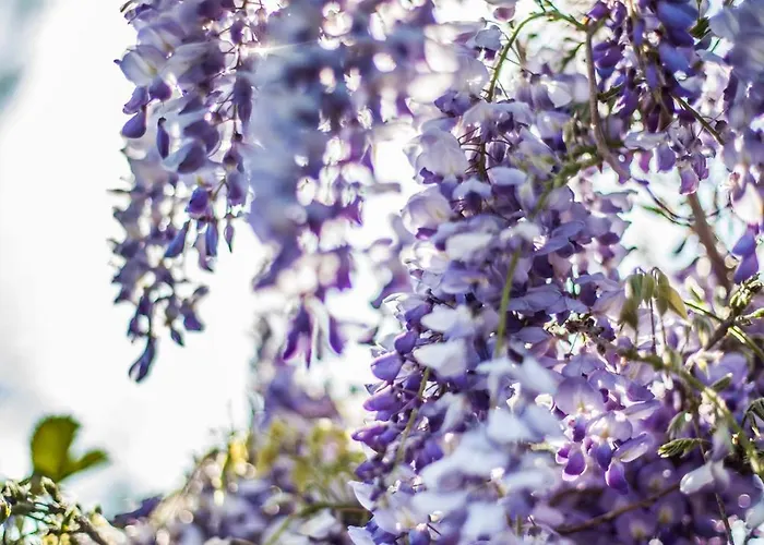 Frühstückspension La Giardini-Naxos